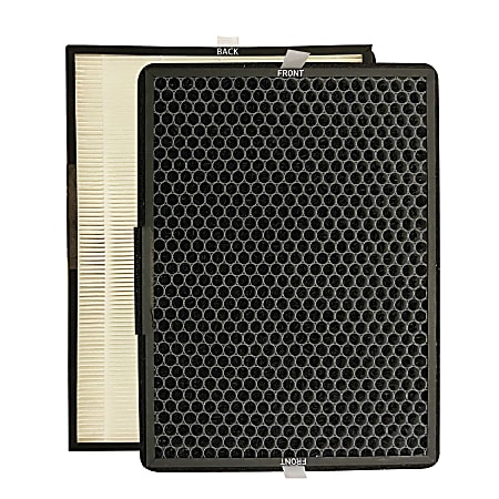 Rowenta Pure Air 2-In-1 Active Carbon And Allergy+ Filter, 2" x 11-1/8"