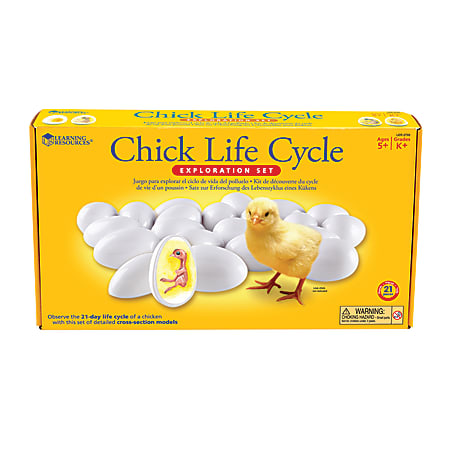 Learning Resources® Chick Life Cycle Exploration Set, Grades K - 4