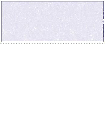 Custom Blank Check Stock, Laser Check Top, Extended Voucher No Signature, 8 1/2" x 11", Box Of 500