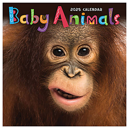 2025 TF Publishing Monthly Mini Wall Calendar, 7” x 7”, Baby Animals, January 2025 to December 2025.