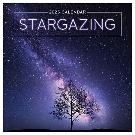 2025 TF Publishing Monthly Mini Wall Calendar, 7” x 7”, Stargazing, January 2025 To December 2025