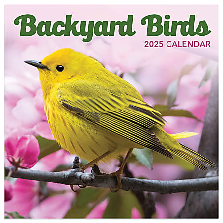 2025 TF Publishing Monthly Mini Wall Calendar, 7” x 7”, Backyard Birds, January 2025 to December 2025.