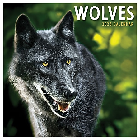 2025 TF Publishing Monthly Mini Wall Calendar, 7” x 7”, Wolves, January 2025 to December 2025