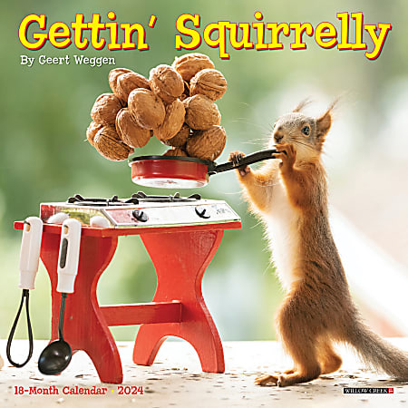 2024 Willow Creek Press Scenic Monthly Mini Wall Calendar, 7” x 7”, Squirrels, January To December