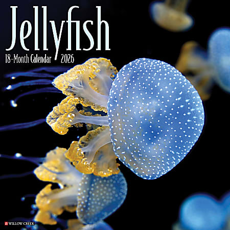 2026 Willow Creek Press Animals Monthly Wall Calendar, 12" x 12", Jellyfish, January To December, 55892