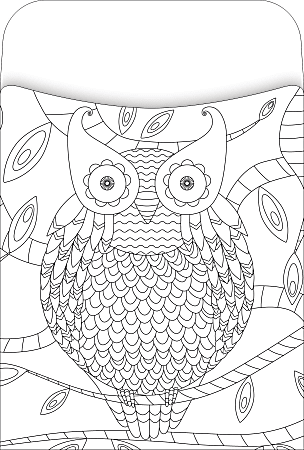 Barker Creek Peel Stick Library Pockets 3 x 5 Color Me Bohemian Animals ...