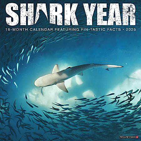 2025 Willow Creek Press Monthly Wall Calendar, 12" x 12", Shark Year, January 2025 to December 2025, 46609