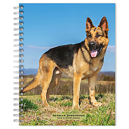 2023-2024 BrownTrout 16-Month Weekly/Monthly Engagement Planner, 7-3/4" x 7-3/16", German Shepherds, September To December