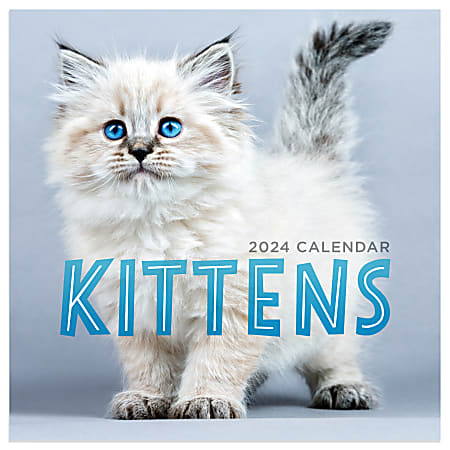 2024 TF Publishing Animals Mini Calendar, 7" x 7", Kittens, January To December 2024 , OD24-2010