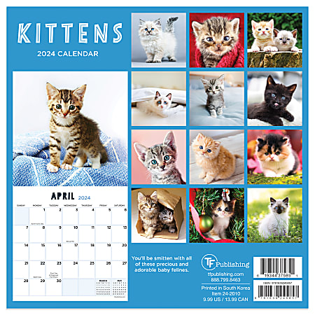 2024 Corporate Cats Wall Calendar, TF Publishing
