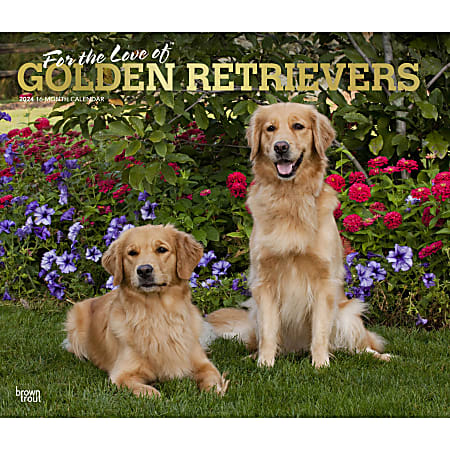 2024 BrownTrout Monthly Deluxe Wall Calendar, 14" x 12", For the Love of Golden Retrievers, January to December