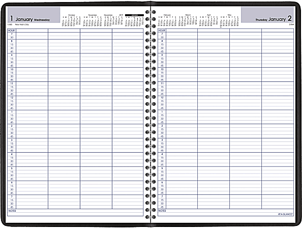 AT-A-GLANCE® DayMinder Daily 4-Person Group Appointment Book, 8" x 11", Black, January To December 2022, G56000