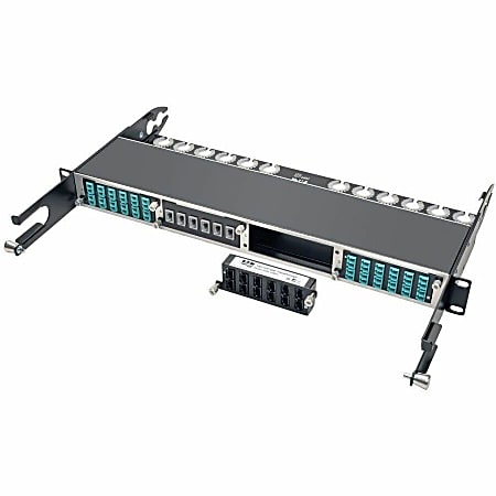 Eaton Tripp Lite Series 100Gb/120Gb Pass-Through Cassette - (x12) 24-Fiber MTP/MPO ( Female ) - (x12) 24-Fiber MTP/MPO