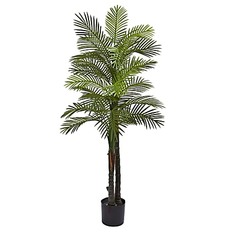 Nearly Natural Double Robellini Palm 66”H Plastic UV Resistant Indoor/Outdoor Tree, 66”H x 38”W x 38”D, Green