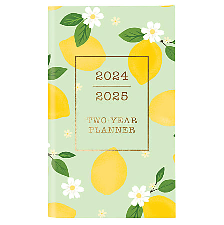 2023-2025 Graphique 29-Month Monthly Pocket Planner, 4" x 6", Oh So Chic, August 2023 To December 2025, 2Y02024 D