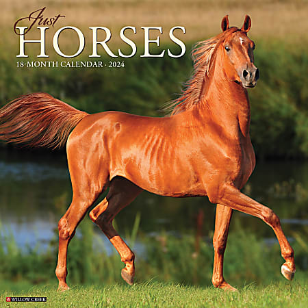 2024 Willow Creek Press Monthly Wall Calendar, 12” x 12”, Horse, January To December 2024 
