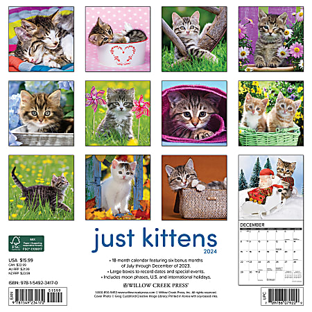 2024 Willow Creek Press Monthly Wall Calendar 12 x 12 Just Kitten ...
