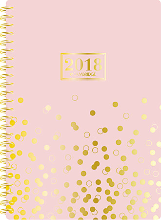 Cambridge® Poly Work-Style 14-Month Weekly/Monthly Planner, Small, 6" x 8 1/2", Pink, November 2017 to December 2018 (CRW42927-18)