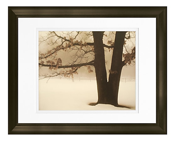 Timeless Frames® Floral Marren Wall Artwork, 14" x 11", Tranquility