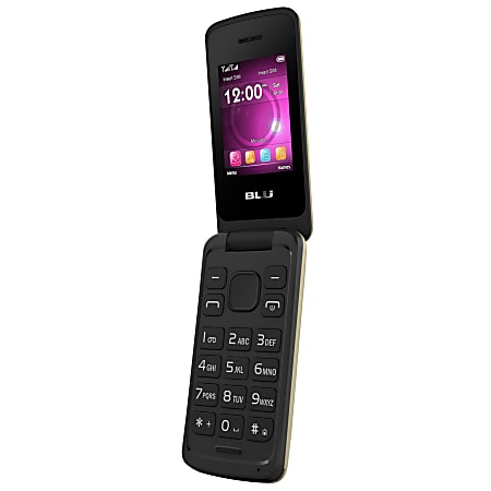 BLU Diva Flex 2.4 T350 Unlocked GSM Phone, Gold