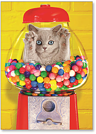 Viabella Birthday Greeting Card With Envelope, Gumball Cat, 5" x 7"