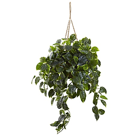 Nearly Natural Pothos 36”H Artificial UV Resistant Indoor/Outdoor Plant With Hanging Basket, 36”H x 30”W x 30”D, Green