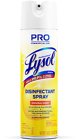 Lysol Professional Disinfectant Spray Original Scent 19 Oz Bottle - Office  Depot