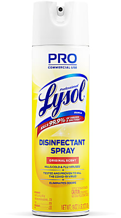 Lysol® Professional Disinfectant Spray, Original Scent, 19 Oz Bottle