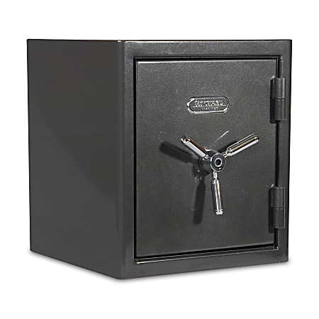 Sanctuary Platinum Biometric Home/Office Safe, 1.96 Cu. Ft., Dark Grey Hammertone