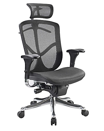 Raynor® Eurotech Fuzion High-Back Chair With Headrest, 51"H x 26"W x 27 1/2"D, Black Mesh, Black/Chrome Frame