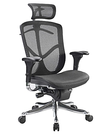 Raynor Eurotech Fuzion High Back Chair With Headrest 51 H x 26 W x 27 12 D Black Mesh