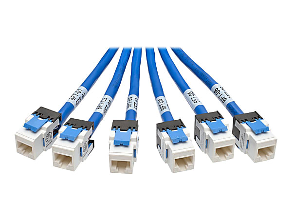 Tripp Lite 10ft Augmented Cat6 Cat6a Pre-Terminated Copper Trunk Bundle 6xRJ45 M/F 10' - First End: 6 x RJ-45 Male Network - Second End: 6 x RJ-45 Female Network - 10 Gbit/s - Patch Cable - Gold Plated Contact - 23 AWG - Blue