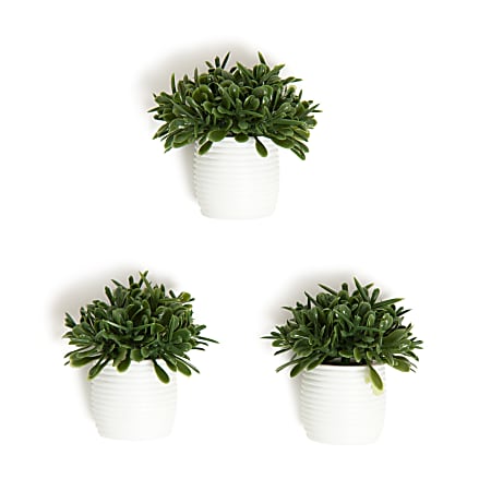 U Brands® Hedge Magnets, 7-5/16”H x 5-5/16”W x 1-5/8”D, Green/White, Pack Of 3 Magnets