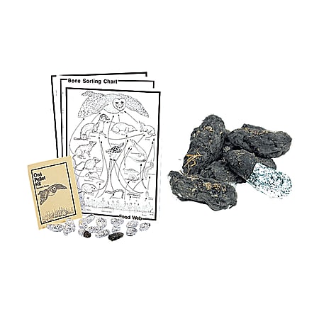 Pellets Inc. Owl Traditional Pellet Classroom Kit, 3" x 19 1/2", Grades 2-12
