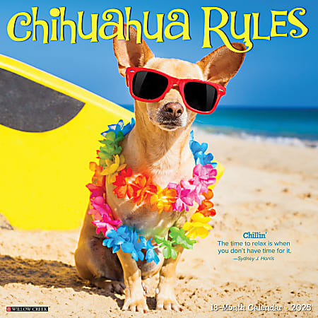 2025 Willow Creek Press Monthly Wall Calendar, 12" x 12", Chihuahua Rules, January 2025 to December 2025, 42311