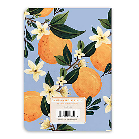 2024 2025 Orange Circle Studio 24 Month Pocket Planner 4 58 x 6 12