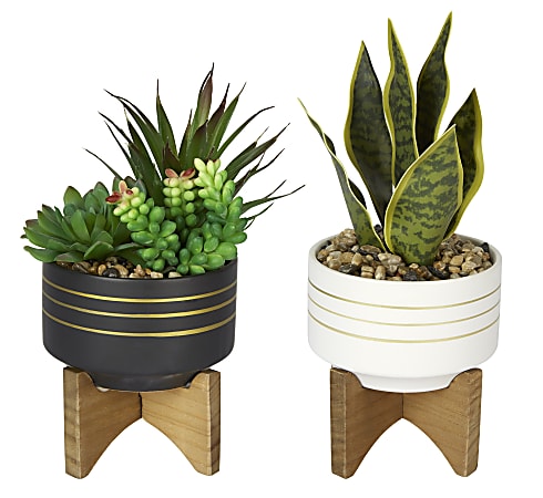 Office Depot® Brand 4-1/2"H Rubber Artificial Mixed Succulent With Stand, 4-1/2" x 4-1/2", Assorted Colors