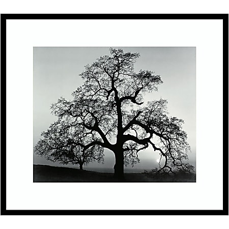Amanti Art Oak Tree Sunset City California 1962 by Ansel Adams Wood Framed Wall Art Print, 31”W x 27”H, Black
