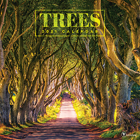 TF Publishing Scenic Monthly Wall Calendar, 12" x 12", Trees, January To December 2021