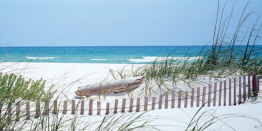 Biggies Wall Mural, 60" x 120", Carolina Coast