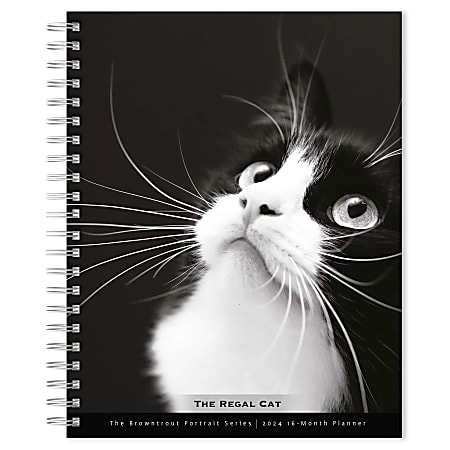 2023-2024 BrownTrout 16-Month Weekly/Monthly Engagement Planner, 7-3/4" x 7-3/16", The BrownTrout Portrait Series: The Regal Cat, September To December