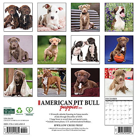2026 Willow Creek Press Art Design Monthly Wall Calendar 12 x 12 ...