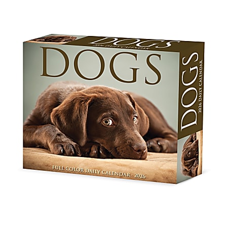 2026 Willow Creek Press Page-A-Day Daily Desk Calendar, 6-1/4" x 5-1/2", Dogs, January To December, 54147