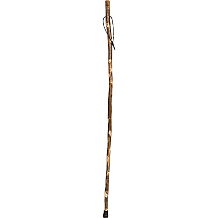 Brazos Walking Sticks™ Free Form Sycamore Walking Stick, 58"