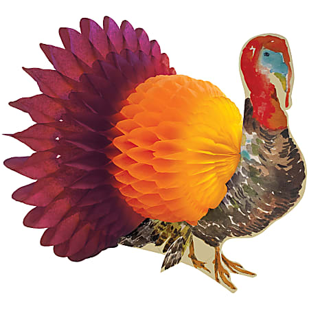 Amscan Thanksgiving Honeycomb Turkey Centerpiece, 24" x 24", Multicolor