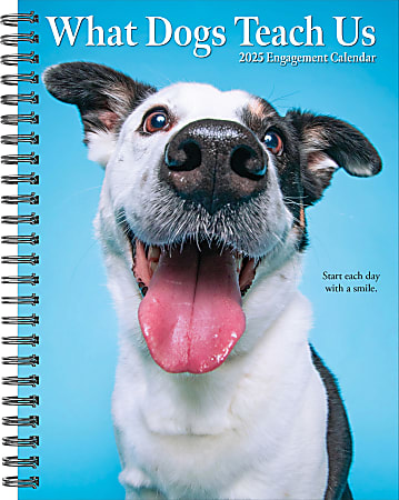 2025 Willow Creek Press Weekly Engagement Planner, 6-1/2" x 8-1/2", What Dogs Teach Us, January 2025 to December 2025, 46180