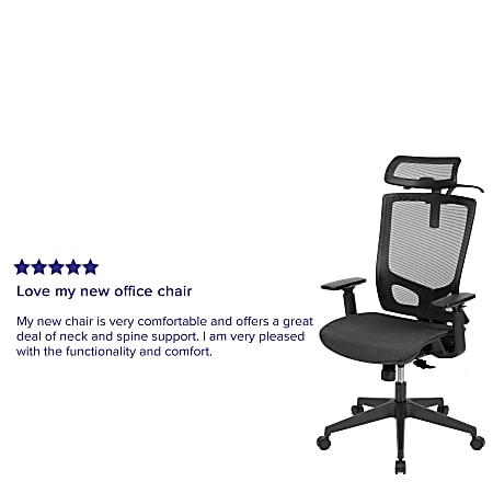 Flash Furniture Layla Ergonomic Mesh High Back Office Chair Black Office Depot