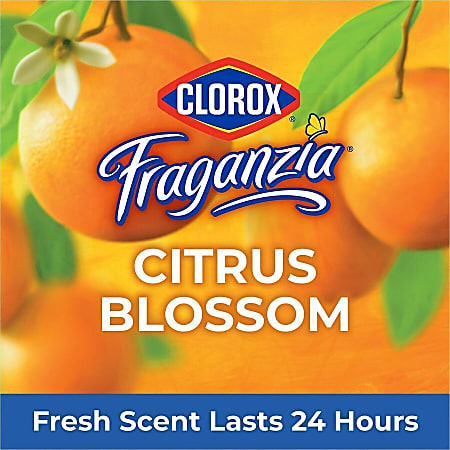 Clorox Fraganzia Hand Soap