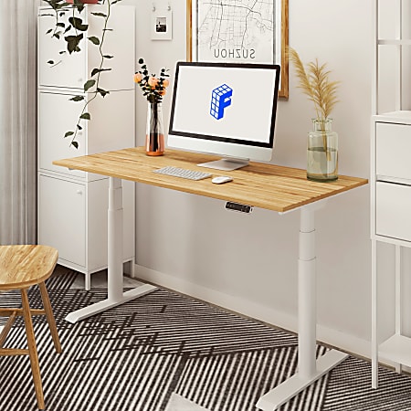 FLEXISPOT Home Office Electric Height Adjustable Standing Desk 48 x 30  Memory Programmable Presets Computer Desk (White Frame+ White Top) 