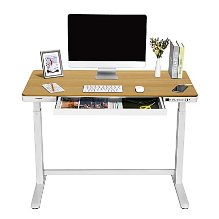 FlexiSpot EW8 Electric 48 W Electric Height Adjustable Standing 